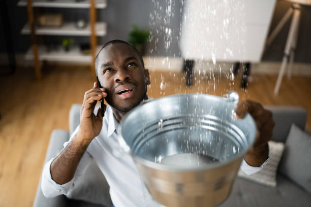 Best Sewage cleanup and water damage restoration  in Walnutport, PA