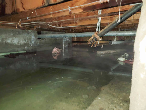 Best 24/7 water damage repair  in Walnutport, PA