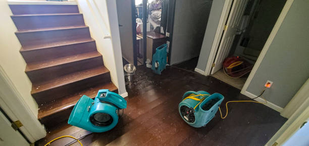 Best Mold removal after water damage  in Walnutport, PA