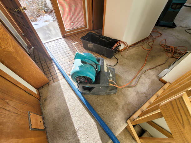 Walnutport, PA Water damage restoration Pros
