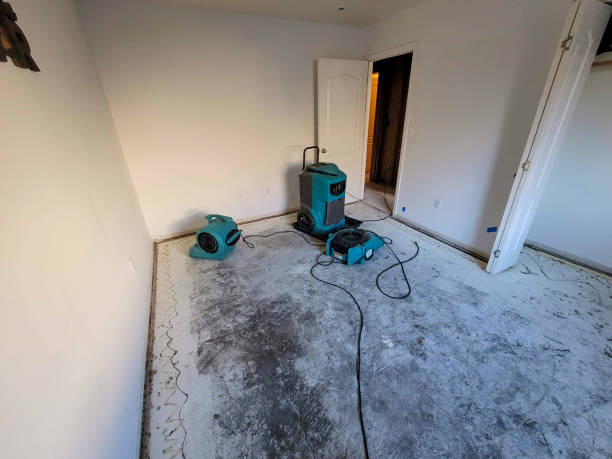 Best Water damage restoration near me  in Walnutport, PA