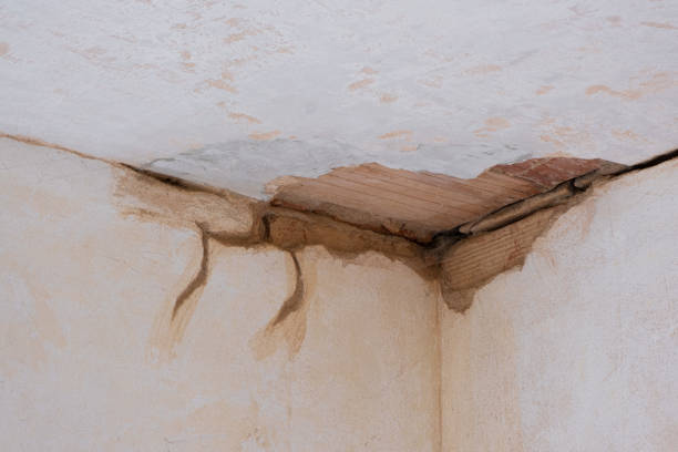 Professional Water damage restoration in Walnutport, PA