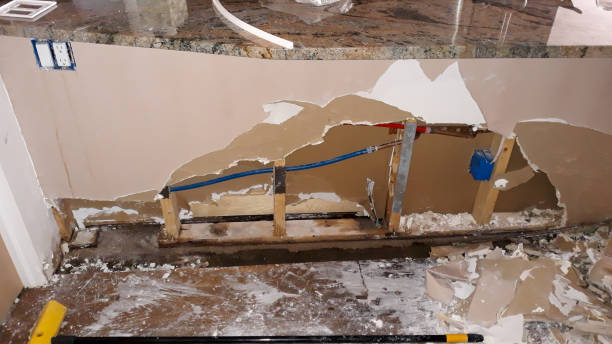 Best Sewage cleanup and water damage restoration  in Walnutport, PA