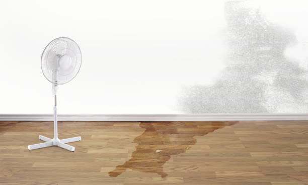 Best Emergency water damage restoration  in Walnutport, PA
