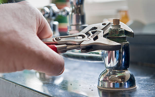 Best Professional water damage repair  in Walnutport, PA
