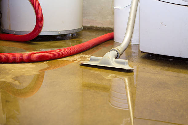 Best Carpet water damage restoration  in Walnutport, PA