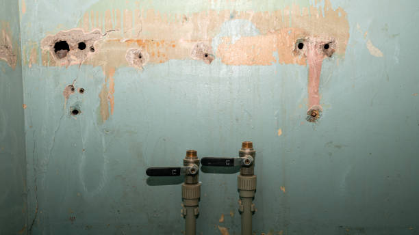 Best 24/7 water damage repair  in Walnutport, PA