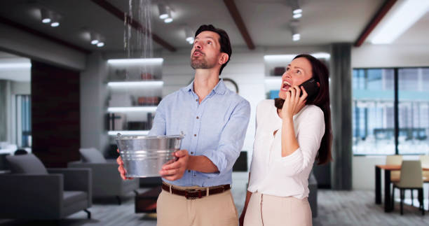 Best Water damage restoration near me  in Walnutport, PA