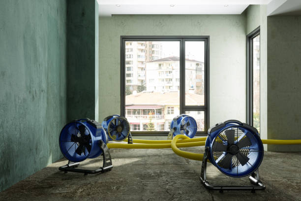 Best Local water damage restoration  in Walnutport, PA