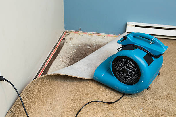 Best Basement water damage restoration  in Walnutport, PA